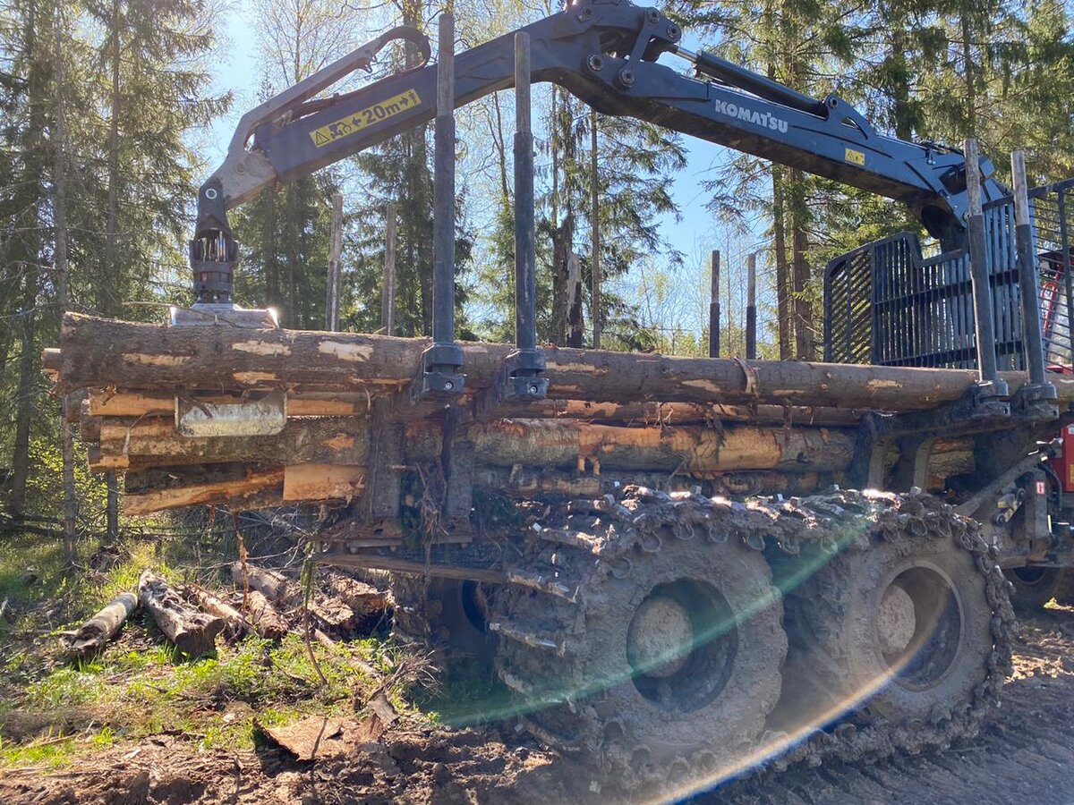 21 участок Крюковского  лесничества 9 мая 2020 г.