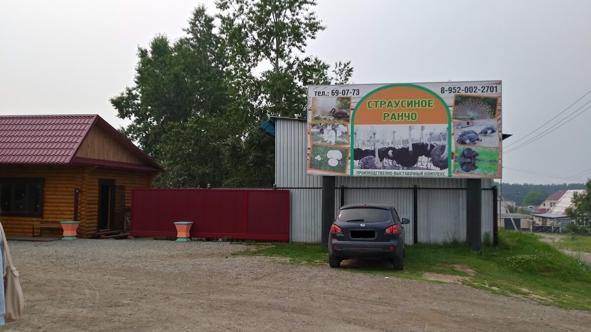 Страусиное ранчо