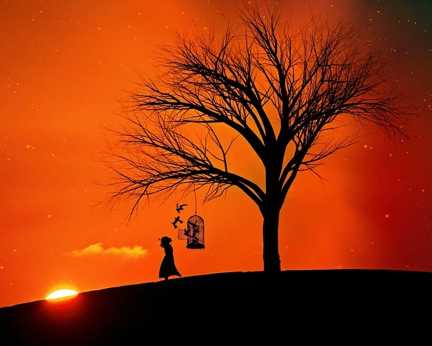 Фото cocoparisienne, Pixabay