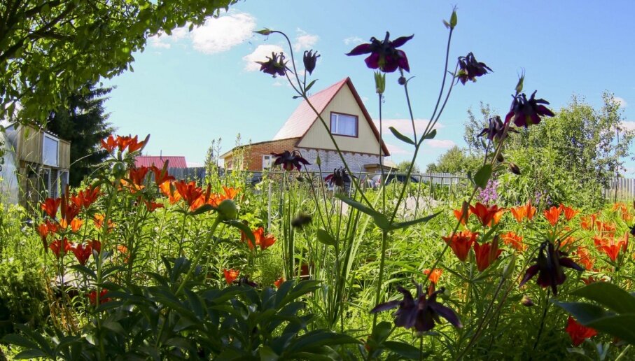 Правления садоводческих и огороднических товариществ могут открывать общие счета в банках.