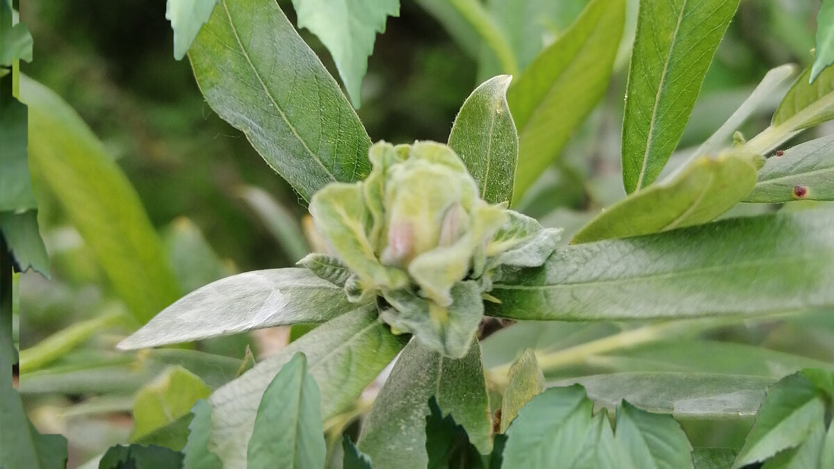 Не забывайте подписываться на канал, чтобы не пропустить новые статьи