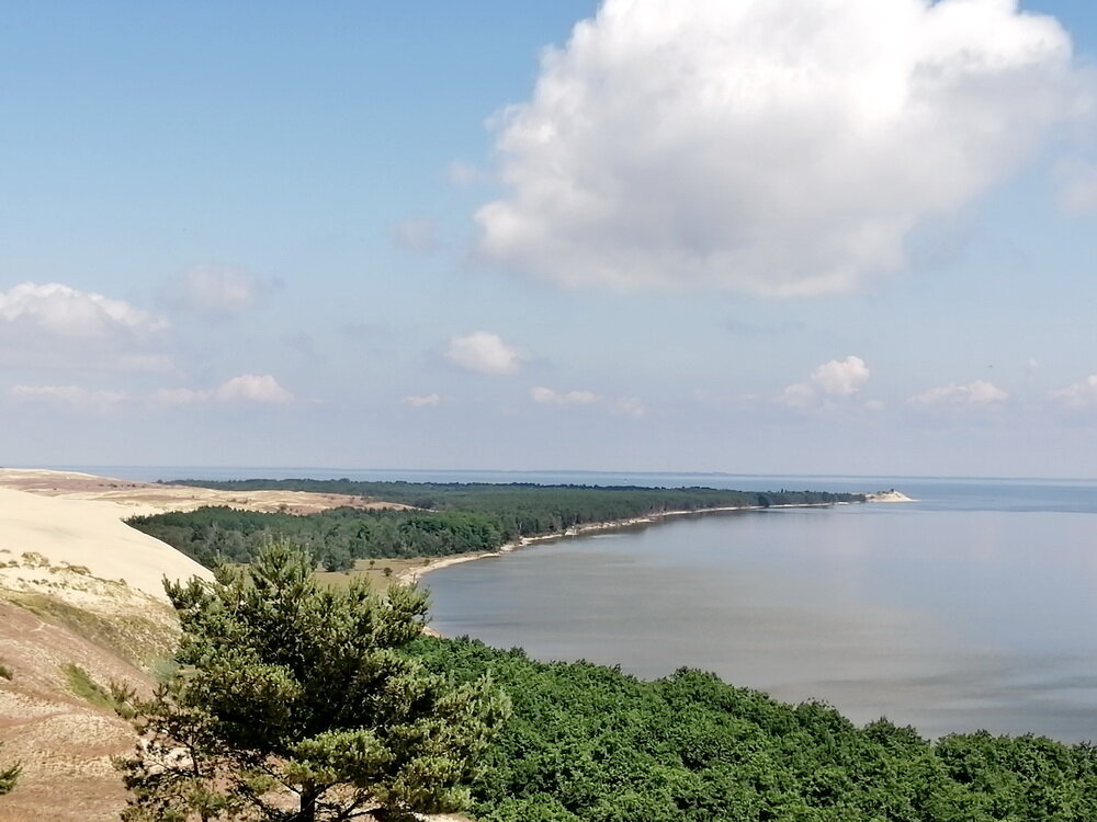 Куршская коса места для бердвотчинга