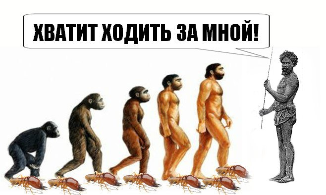 рисунок взят с просторов интернета)