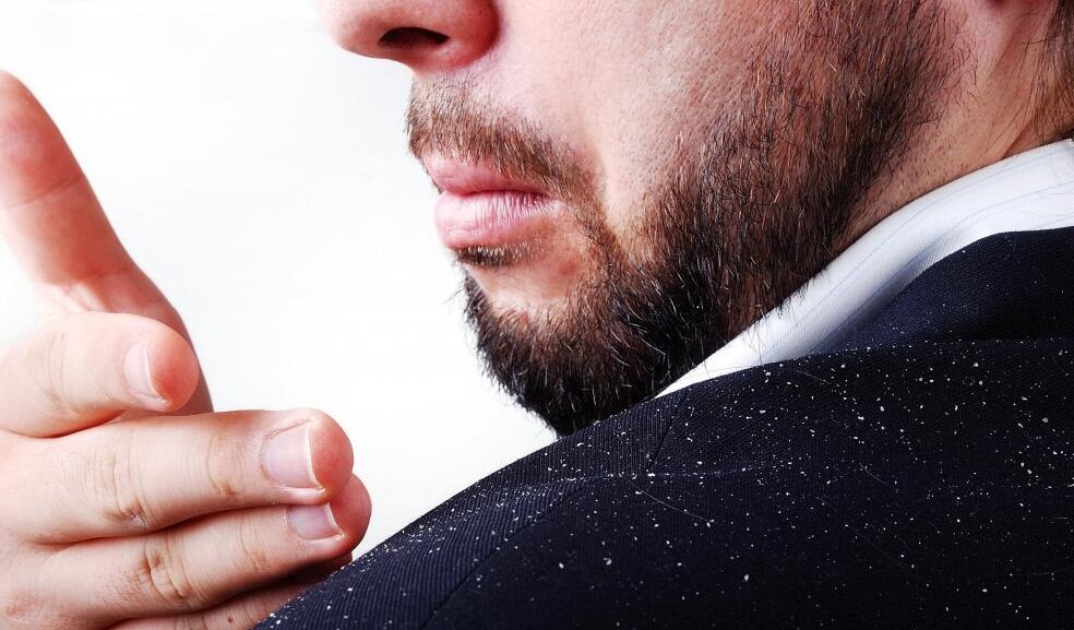 яндекс картинки