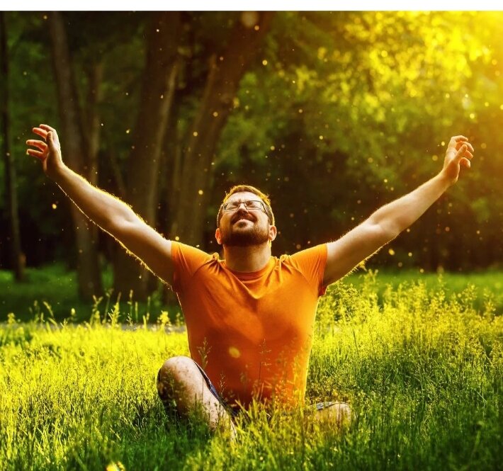 Фотография взята из открытого источника - Яндекс фото.