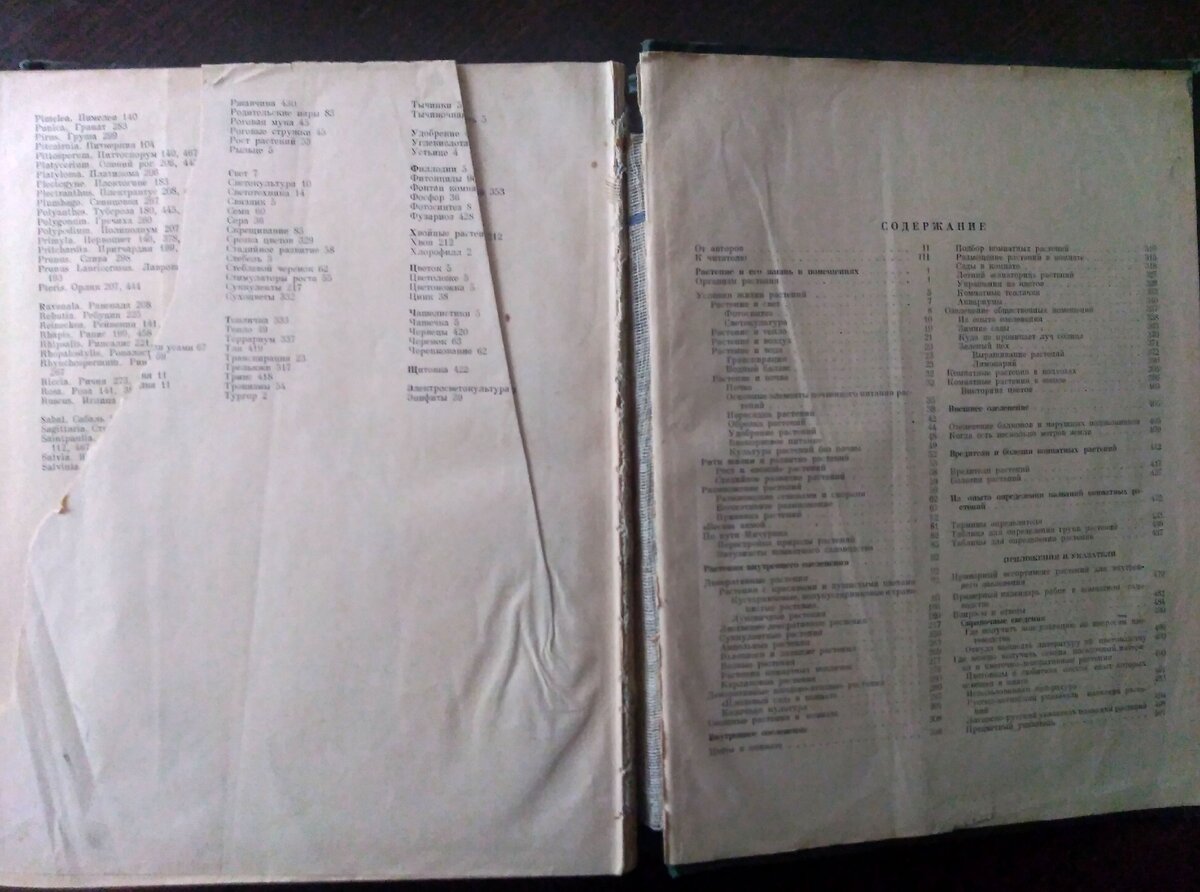 Книга Комнатное садоводство, издание 1956 года