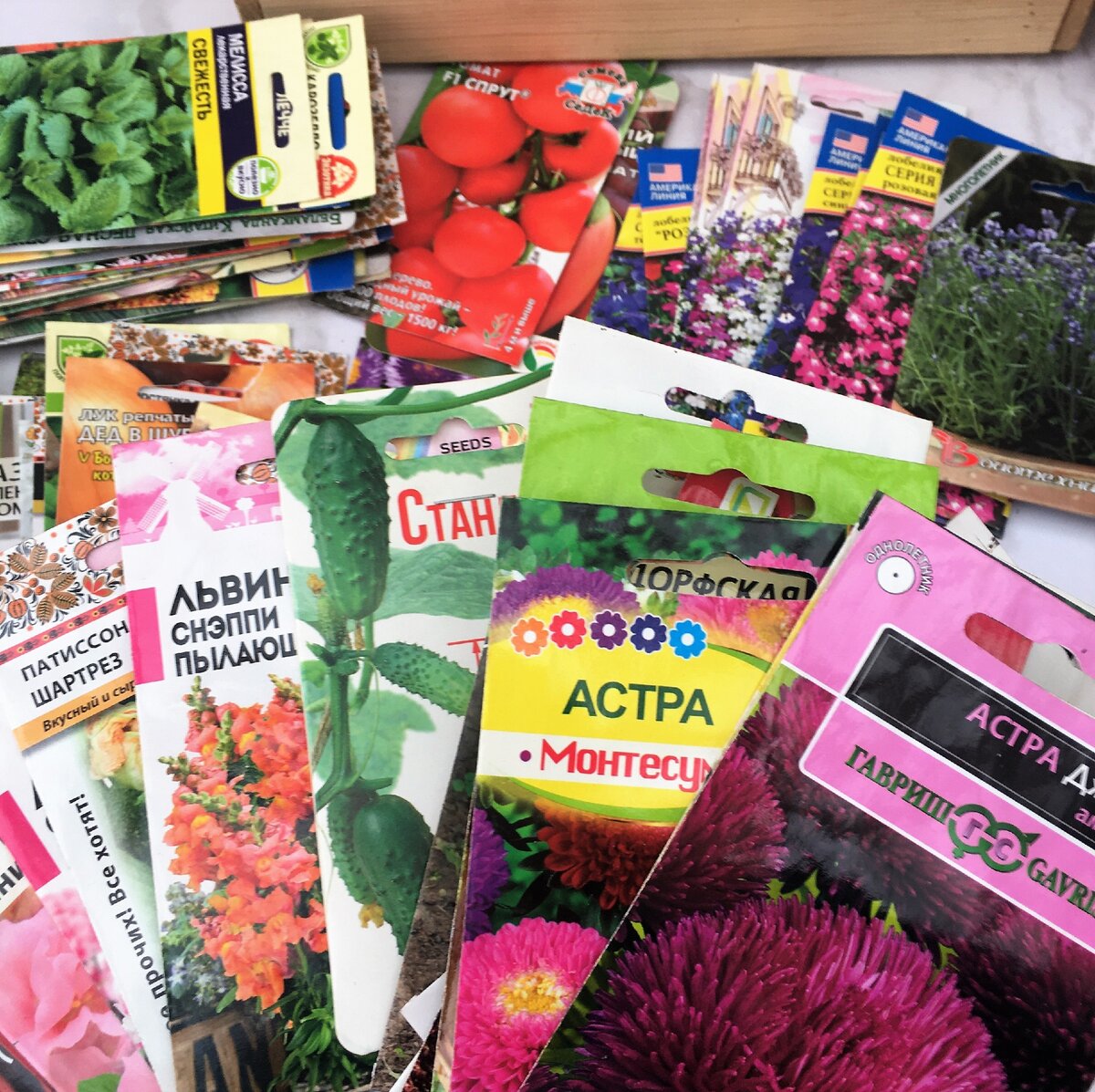 Старые запасы семян