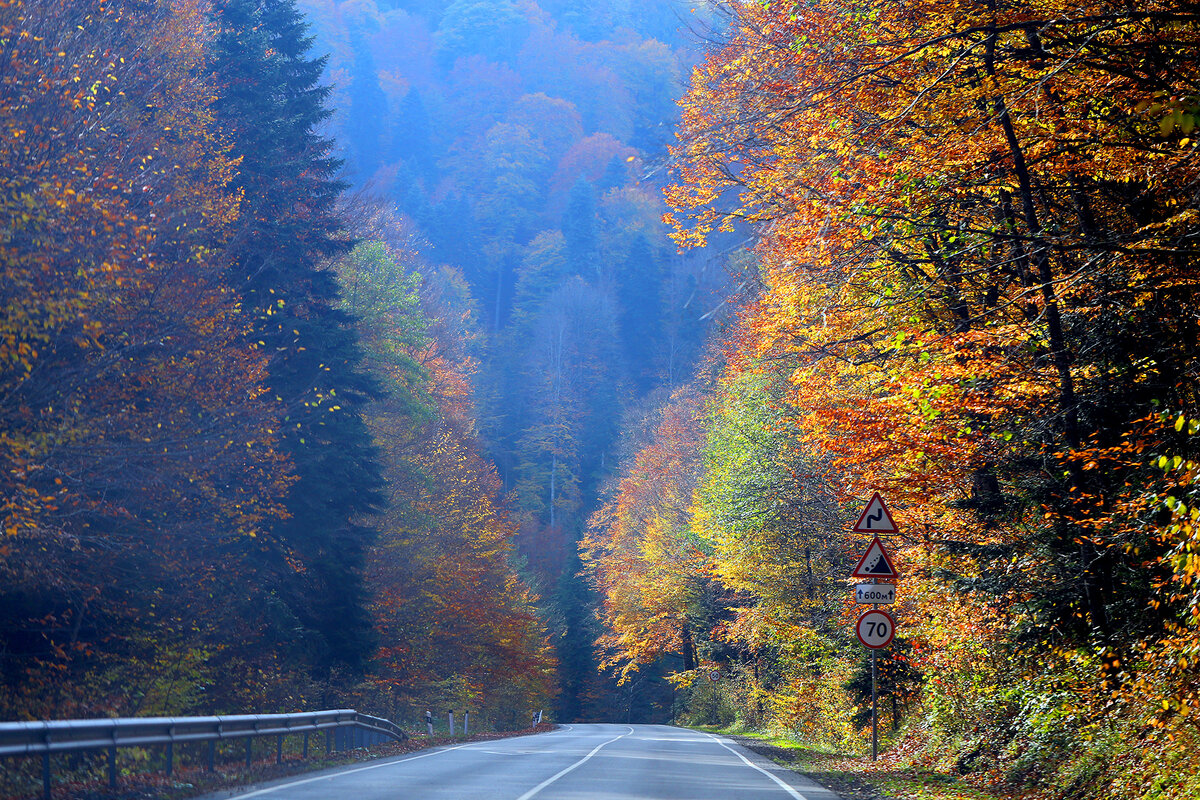 Дорога в Гузерипль