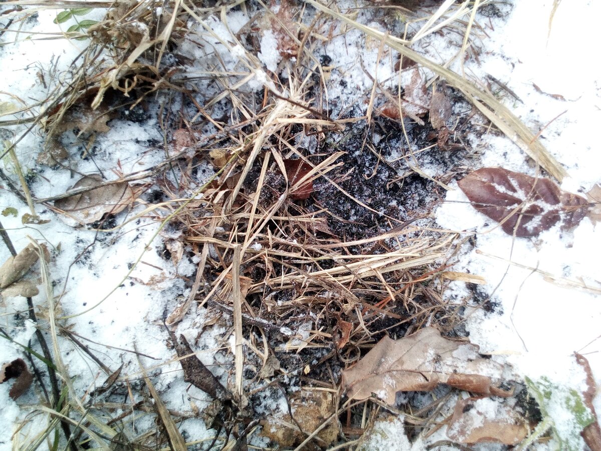 Фотографией не передать мягкость земли. Фото из личного архива