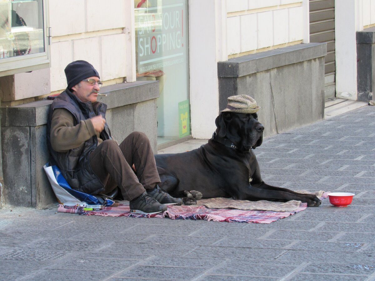 Фото моё. Как и все остальные в этом посте. Этот мужчина здесь всегда. Конец декабря 2018