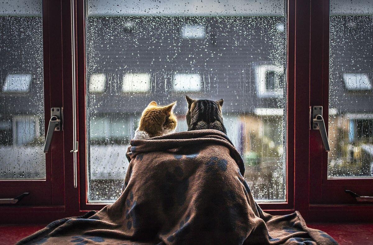 Фото проекта «Онлайн Турция»