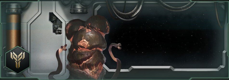 Капхевадские Рейдеры