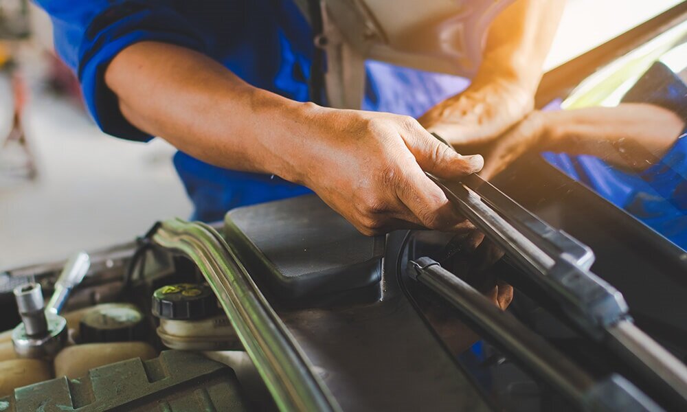 Фото с Яндекс картинки