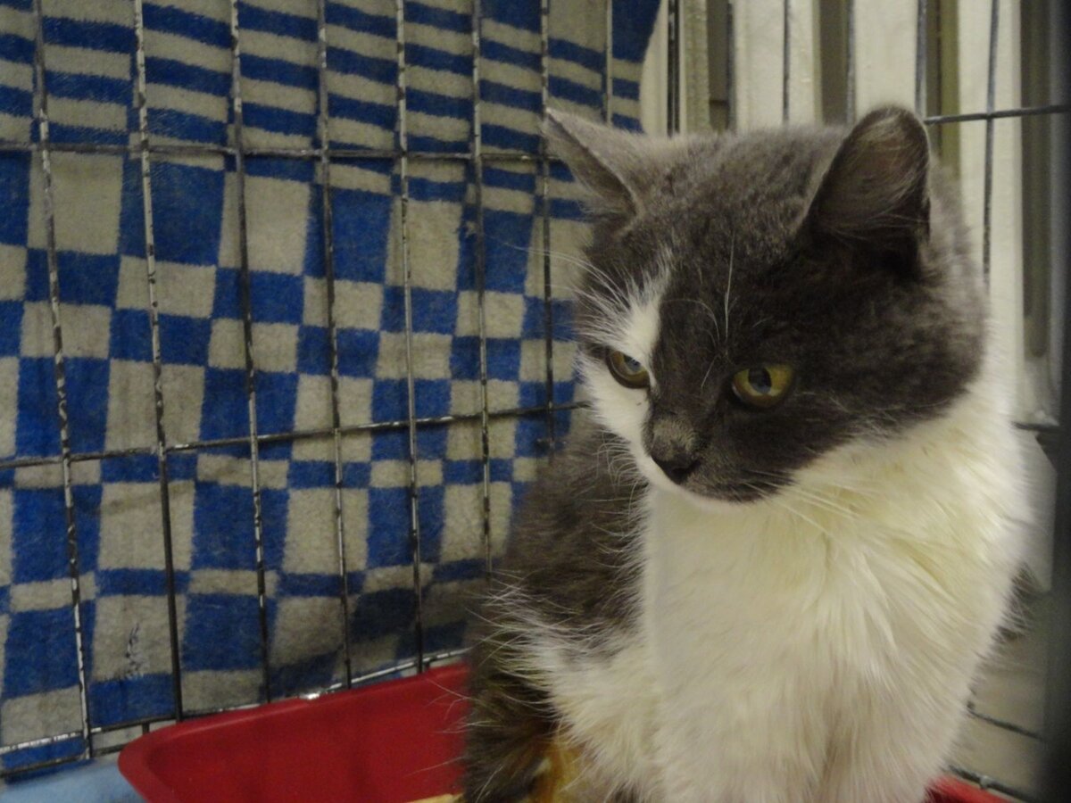 Земфира в клинике