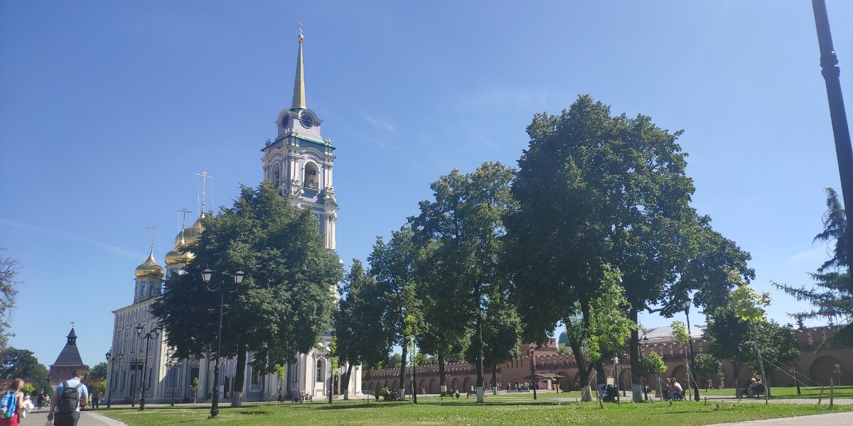 Узнали, что все деревья в Туле высажены искусственно, а в период 