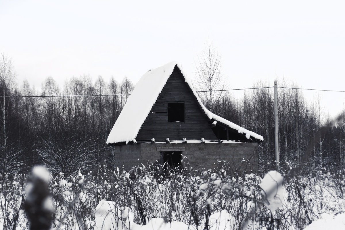 Фото сделано автором статьи, заброшенный дом в Ярославской области, деревня Троицкое