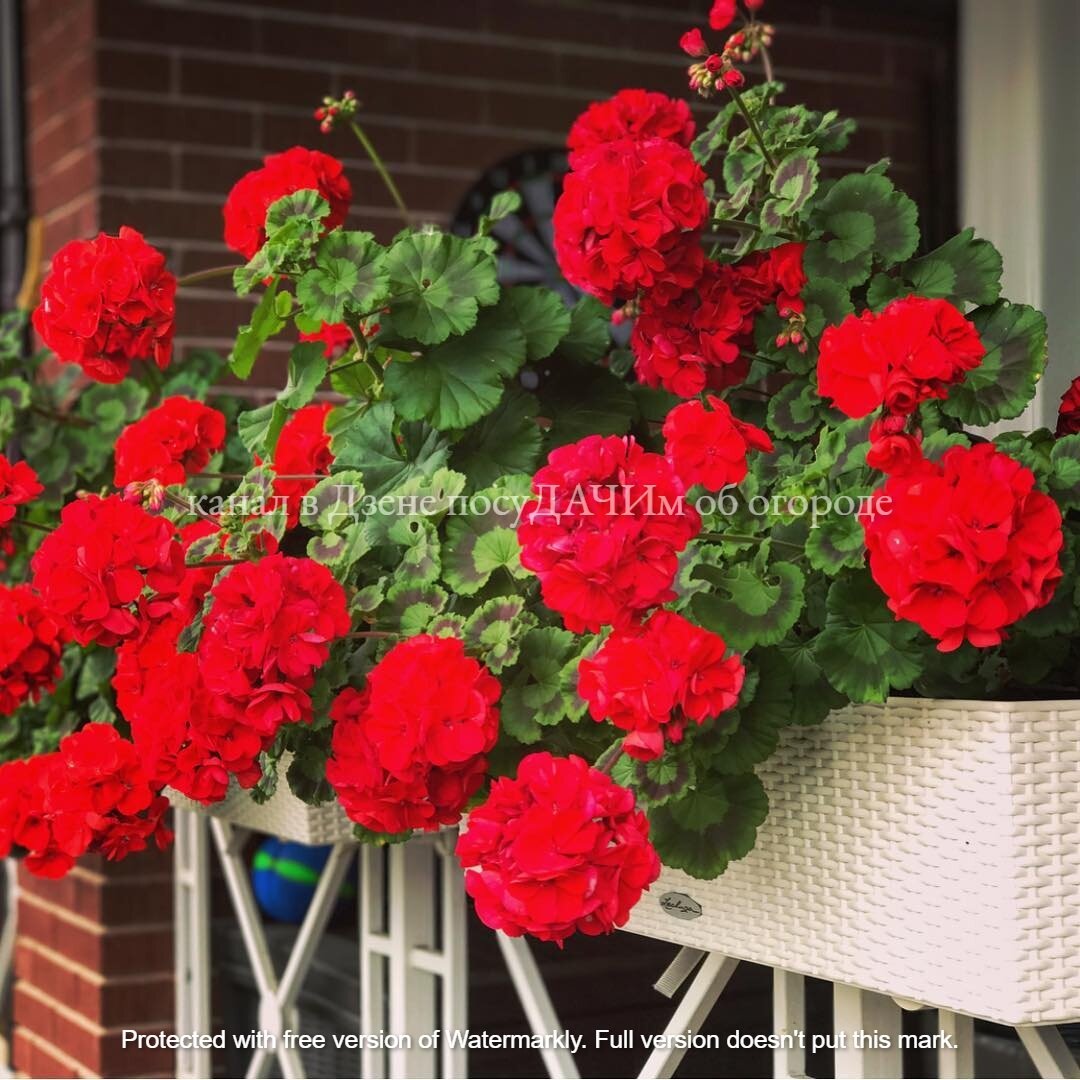 В прошлом году купила такие ящика на ножках, не рекомендую, так как конструкция неустойчивая 