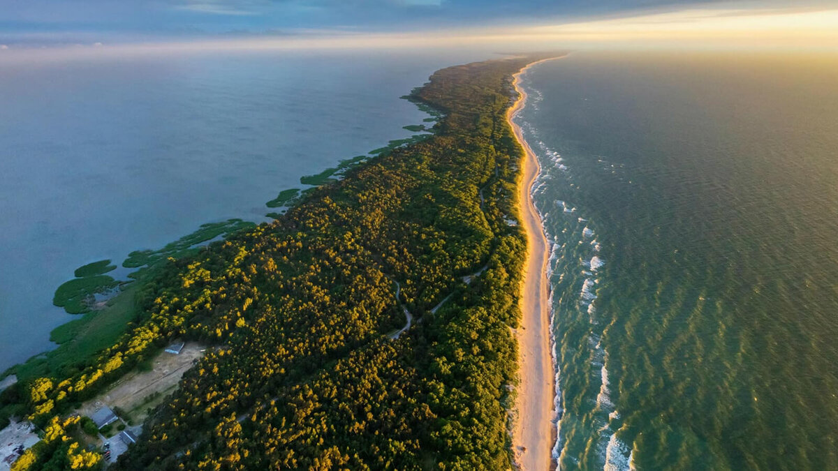                                                                            Куршская коса