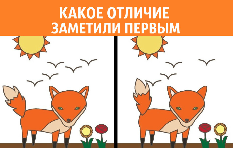 Лис и лиса отличия. Найди отличия. Найди отличия лиса. Найди лису. Тесты для детей Найди отличие