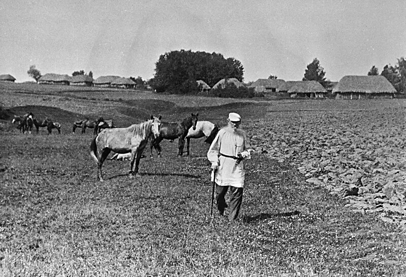 Землепашец Толстой