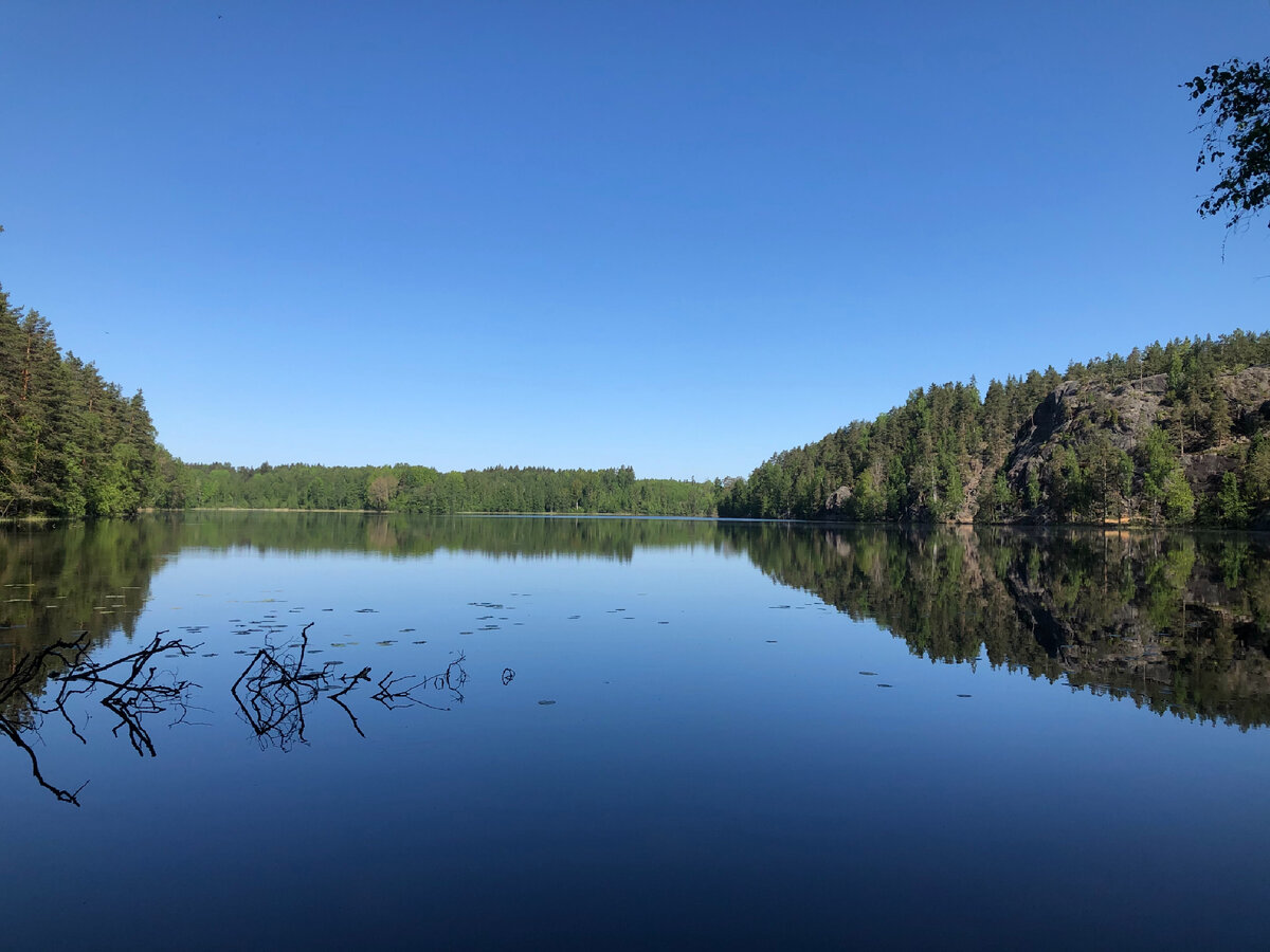 Валдайский заповедник новгородской области. Озеро иванье валдай. Являясь озером. Озеро боровинец валдайский район. Верхнее волозеро карелия.