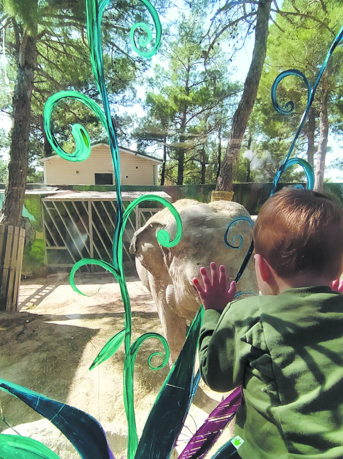 В сафари-парке. 
Назарова Евгения, "Metro"