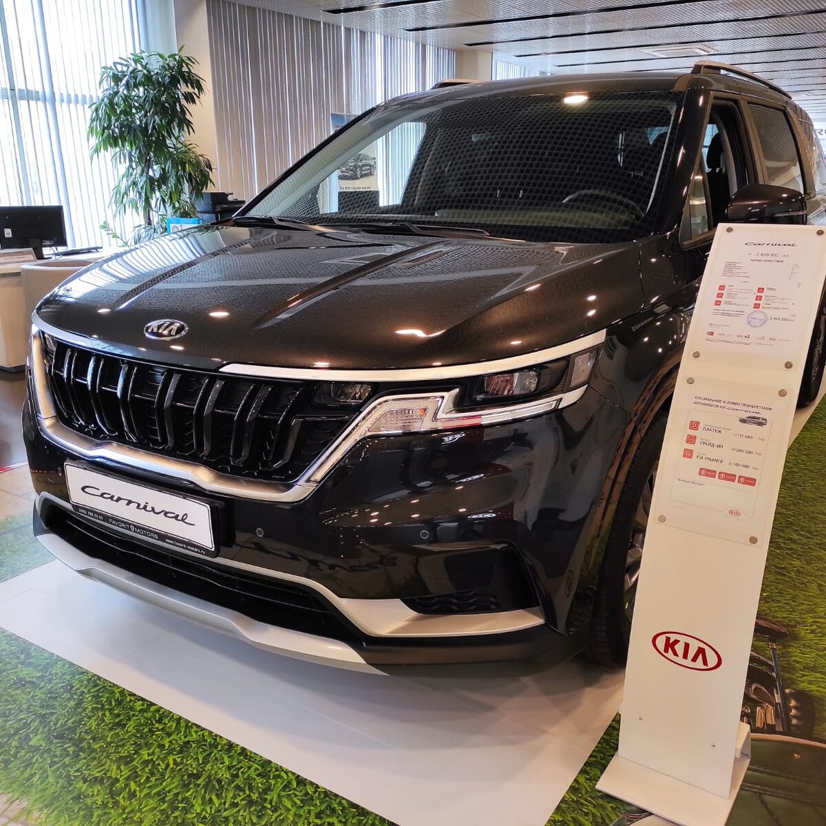 КИА КАРНИВАЛ красивая мордяха