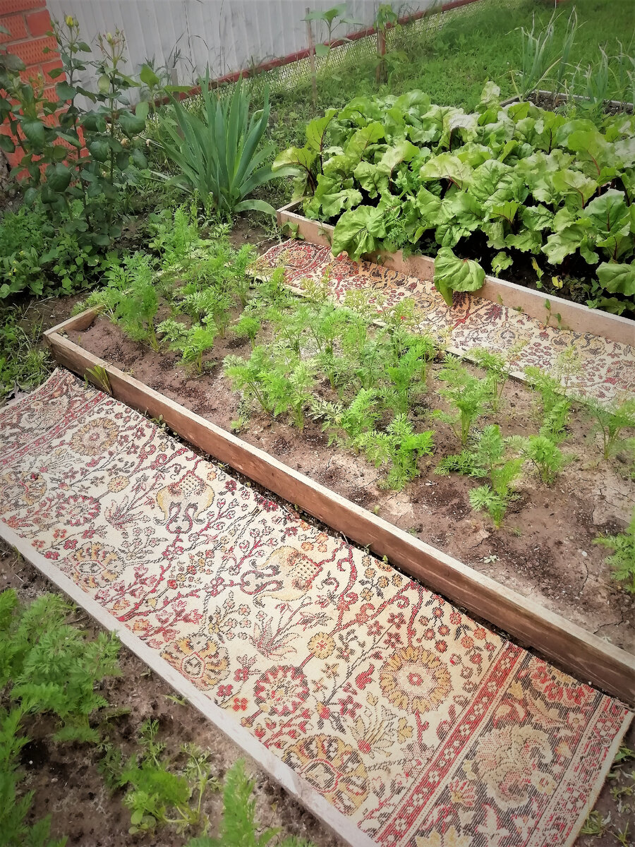 Разрезали старый ковер