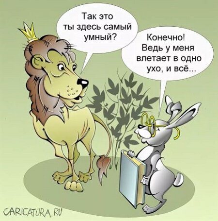 фото из Яндекс-картинки