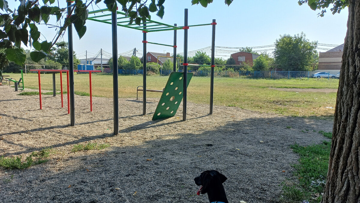 Стадион. Фото автора