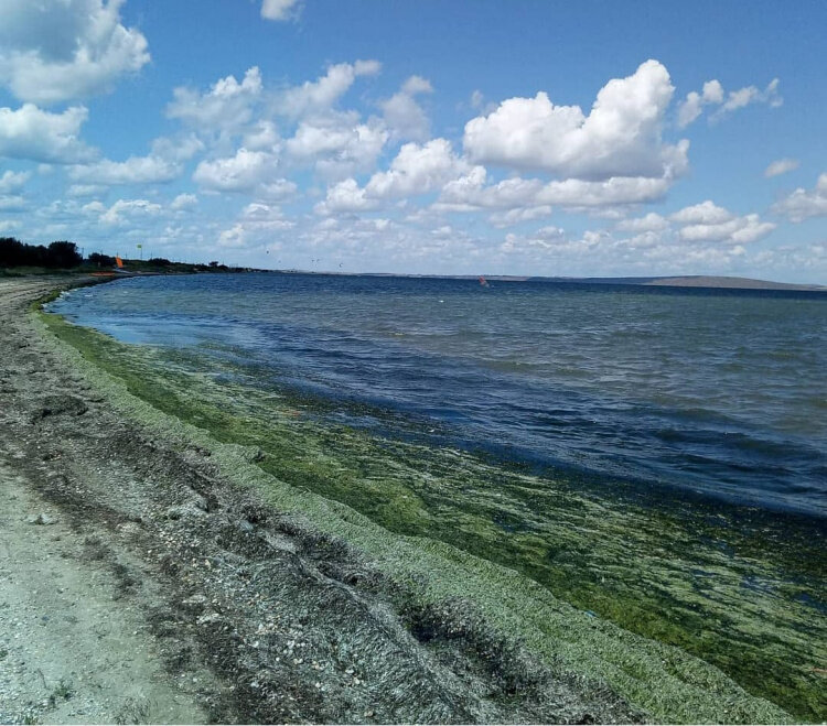 Фото: Нина Куряшкина.