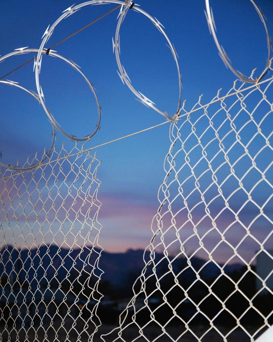 Фото: instagram @sonoraflora