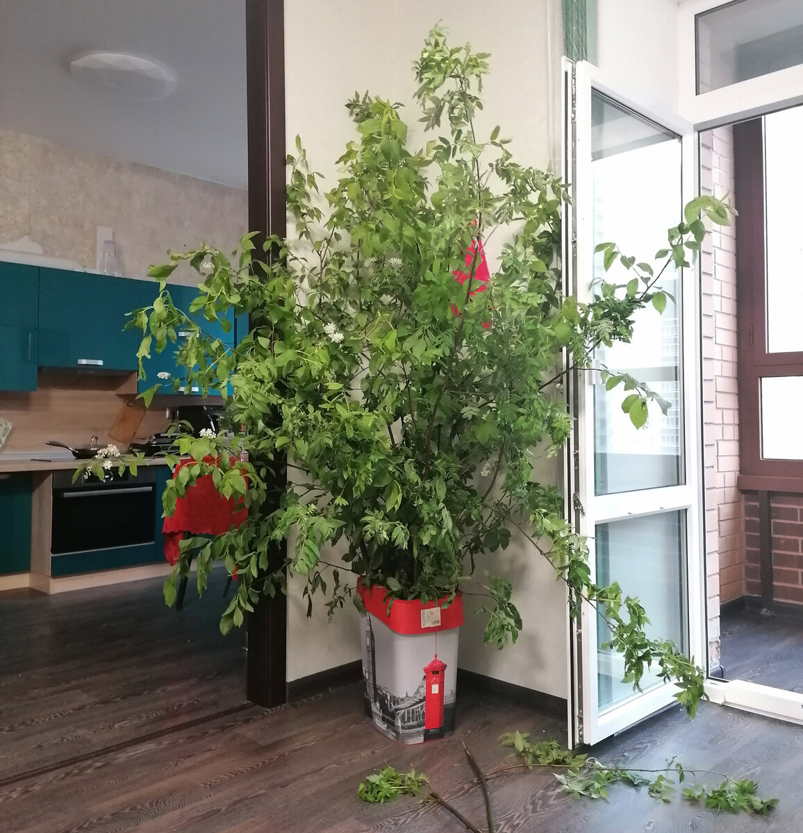 Вот такой веник. Фото автора.