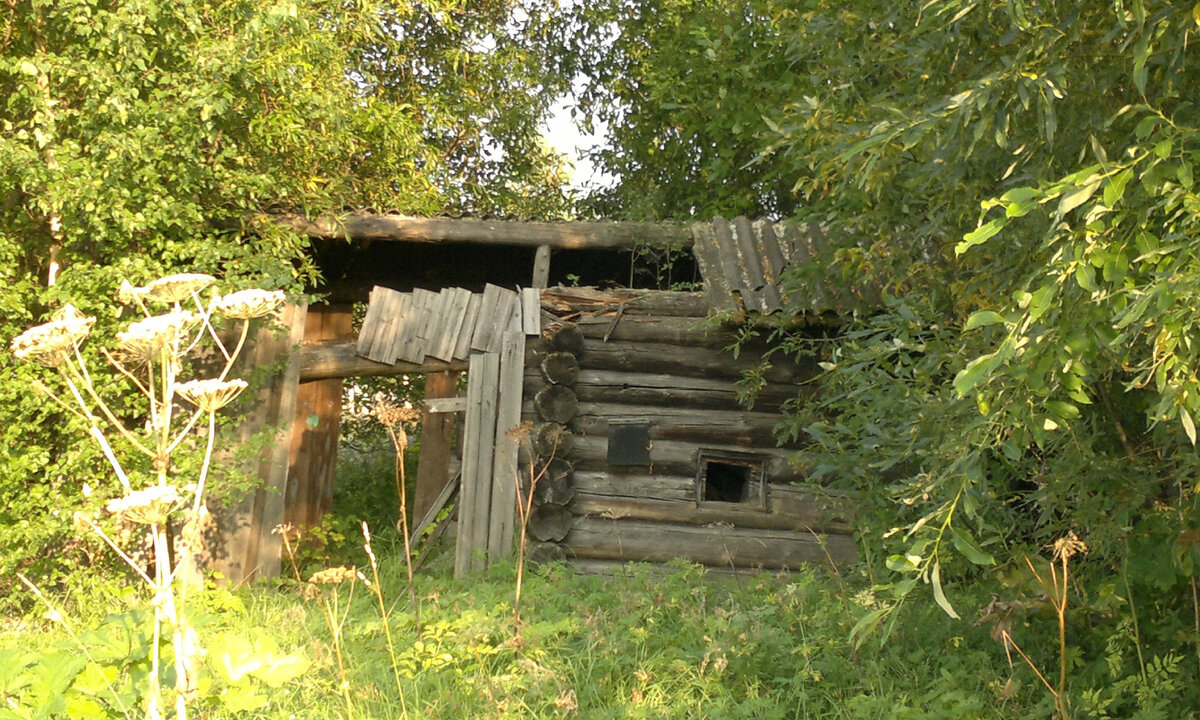 Фото автора