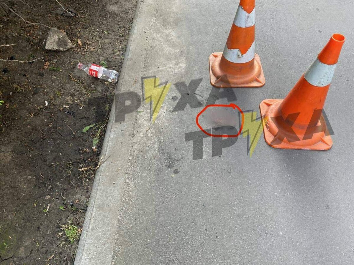 Место, где лежал эмбрион / Фото телеграма "Труха"