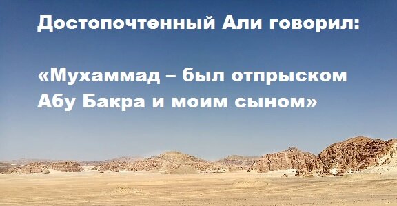 Мухаммад ибн Абу Бакр - один из пяти курейшитов по настоящему защищавших Досточтимого Али