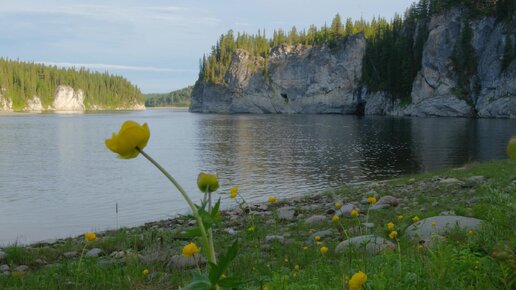 Щугор. От седых вершин к Печоре, Республика Коми