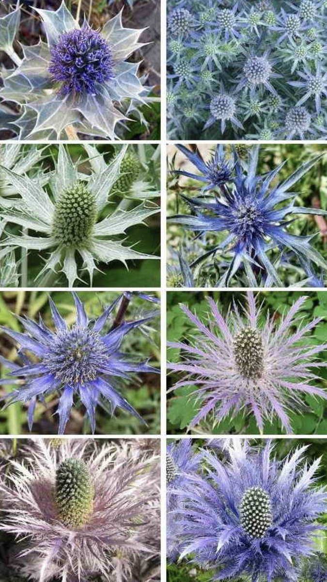 Фото с интернета