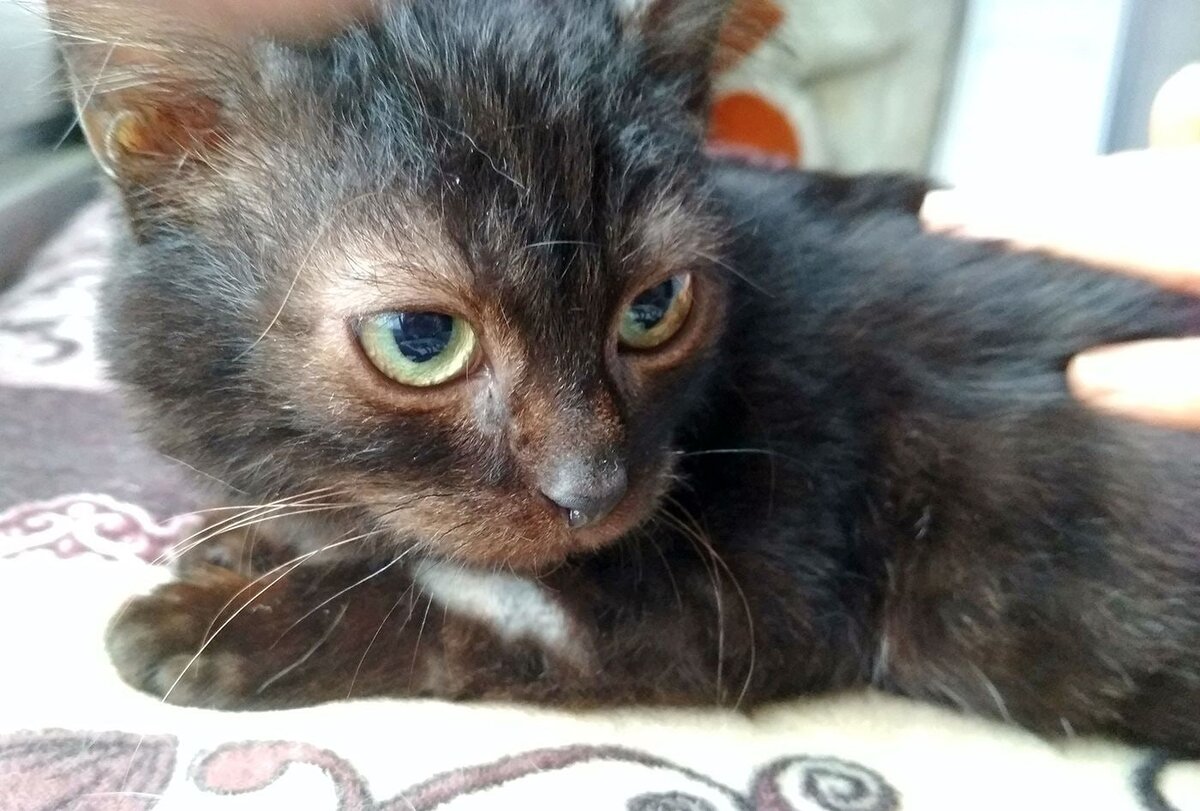 -2