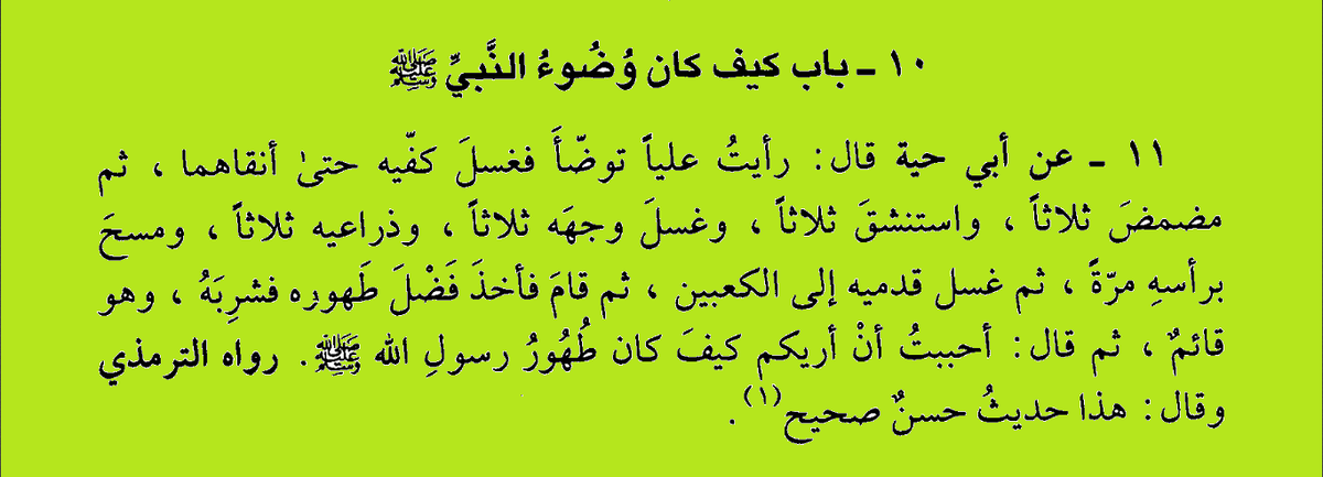 Ат-Тирмизи "сунан" книга "омовения" 45, ан-Насаи "сунан" книга "омовения" 95, Ахмад "муснад" 1/127 (1046), Абу Йала "муснад" 1/385, Ат-Тирмизи назвал этот хадис хорошим, достоверным.