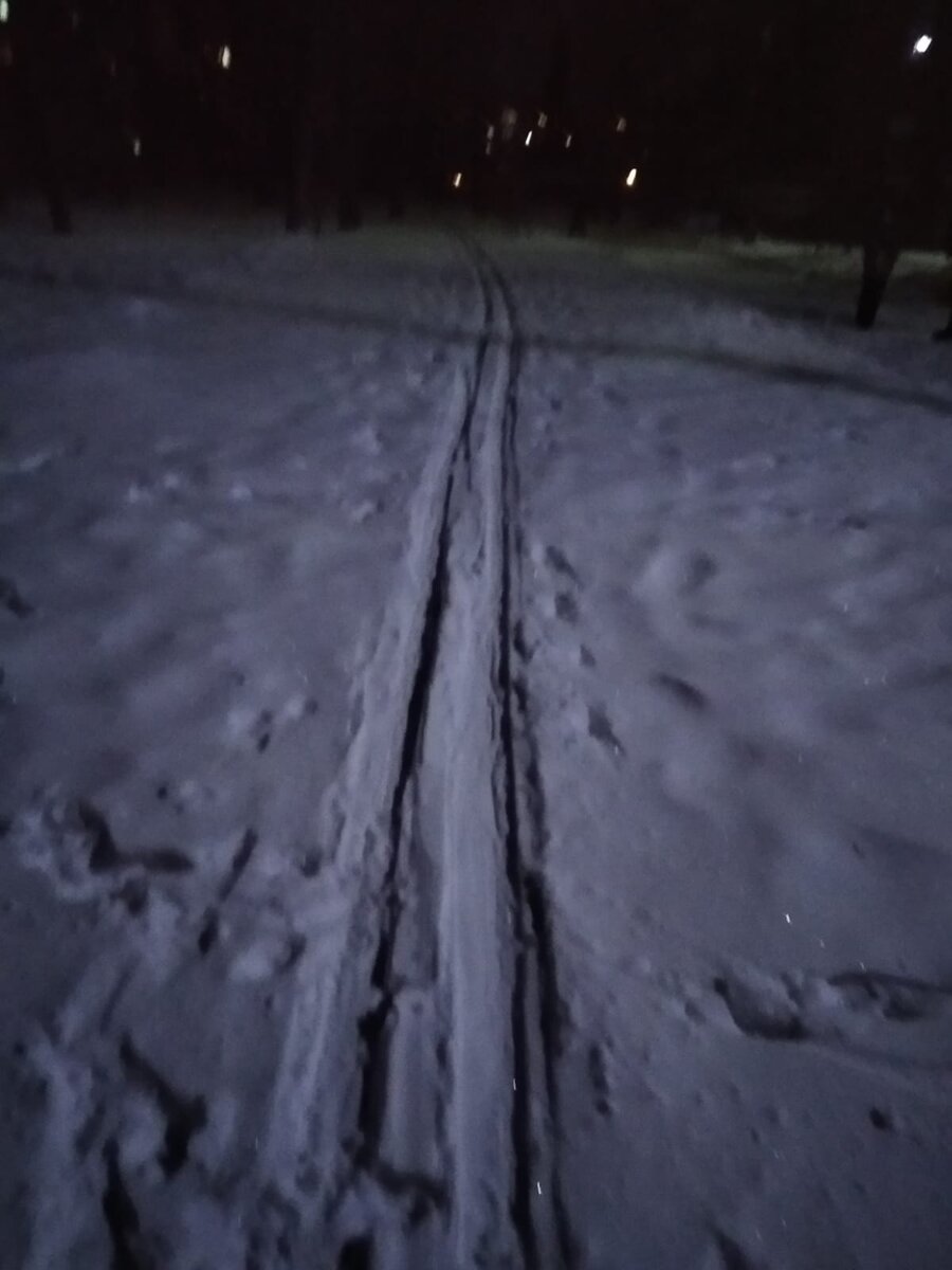 Утренняя новогодняя лыжня. Фото автора.