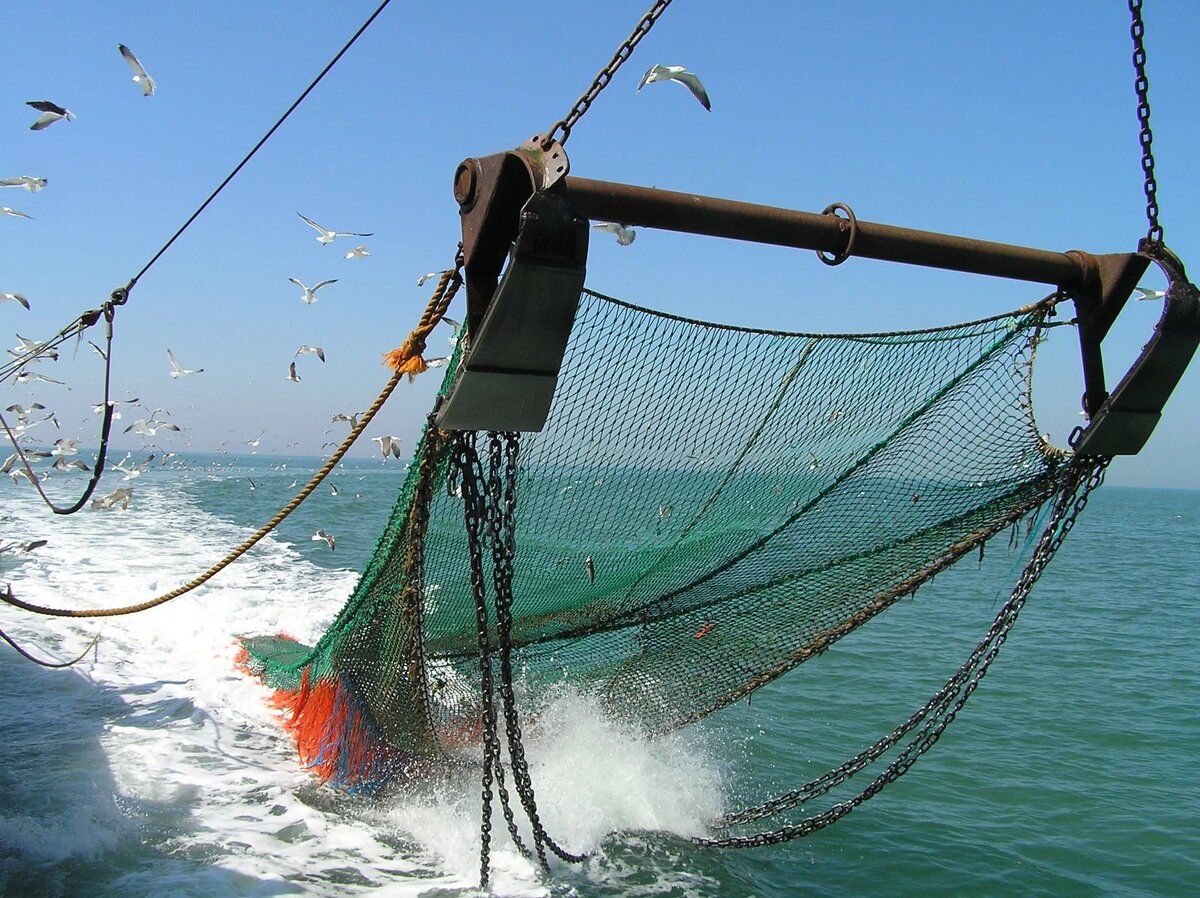 фото рыболовных сетей и их названия