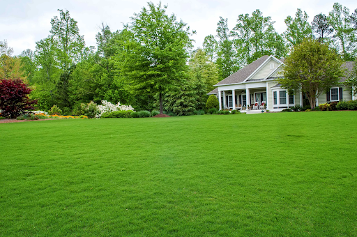 Источник: Яндекс.Картинки