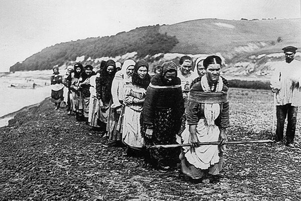 В каких случаях крепостные крестьяне могли обрести свободу | Кириллица ...