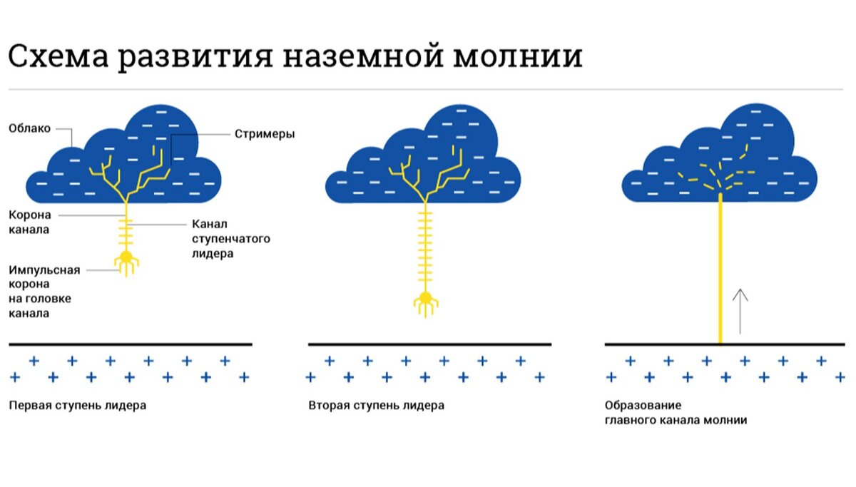 Как появляется гроза? И какая самая большая зафиксированная гроза за  историю наблюдений! | Carbon.technology | Дзен