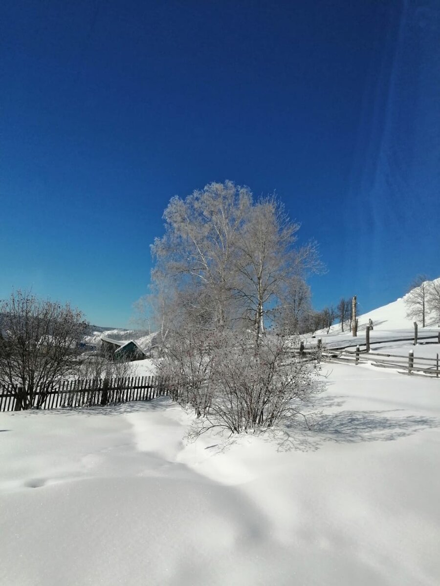 Зимняя красота