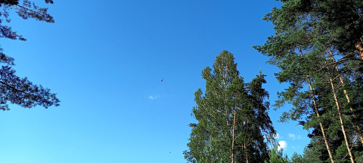 Фото автора канала