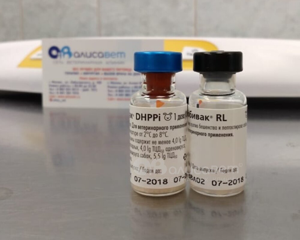Вакцина от бешенства купить москва. Нобивак DHPPI RL для собак. Комплексная вакцина для собак Нобивак. Нобивак DHPPI + Rabies вакцина для собак. Нобивак комплексная прививка для собак.