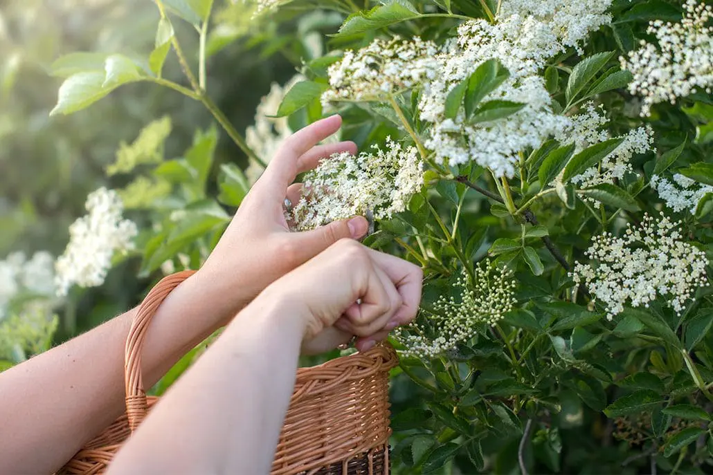 Срезай разумно