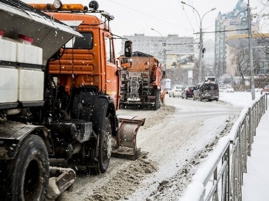     фото густаво зырянова/мк в новосибирске